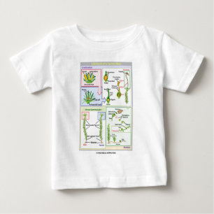 Camiseta Para Bebê Ciclo de vida de um musgo típico (Bryophyte)