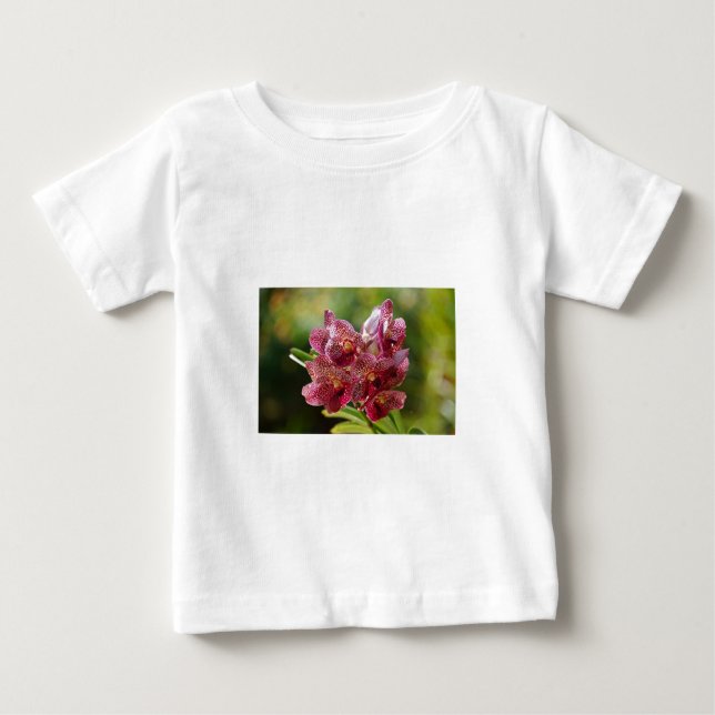 Camiseta Para Bebê Cluster Orquídea Tropical de Vanda (Frente)