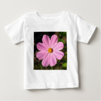 Cosmos Rosa (Foto Quadrada)
