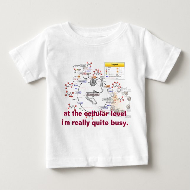Camiseta Para Bebê cromossoma Citric_Ácido_ciclo_noi, Mitose, em ... (Frente)