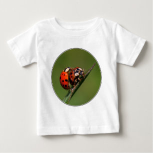 Camiseta Para Bebê Damybugs Apaixonados