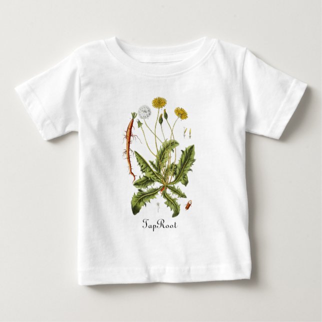 Camiseta Para Bebê Dandelion da Raiz da Pintura do Bebê Bonito (Frente)