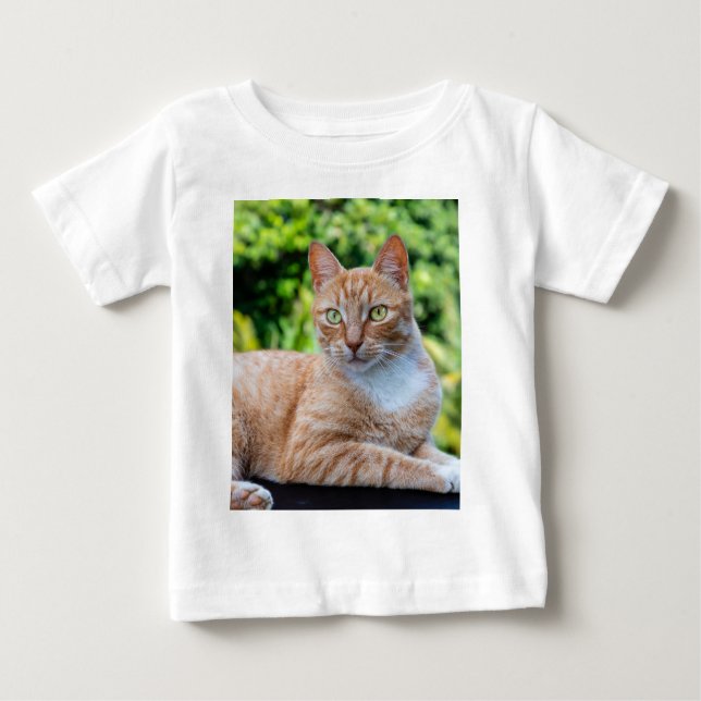 Camiseta Para Bebê Doce gatinho (Frente)