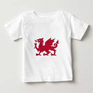 Camiseta Para Bebê Dragão galês