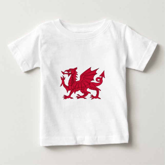 Camiseta Para Bebê Dragão galês (Frente)