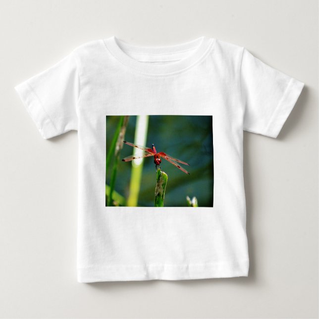 Camiseta Para Bebê Dragonfly Frontal Vermelha e Negra (Frente)