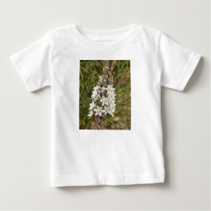 Camiseta Para Bebê Drimia Maritima Ou Island Onion Art