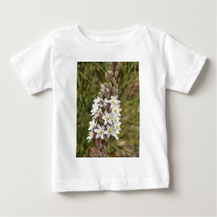 Camiseta Para Bebê Drimia Maritima Ou Island Onion Art