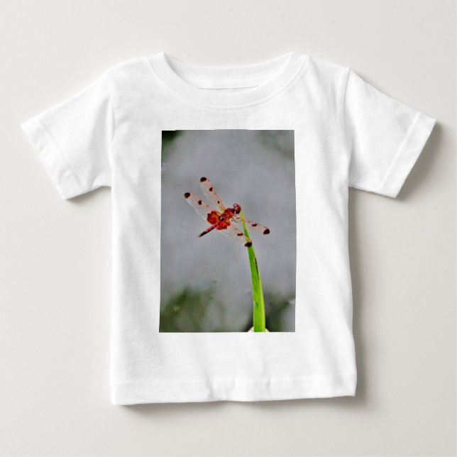 CAMISETA PARA BEBÊ DSC00029.JPG (Frente)