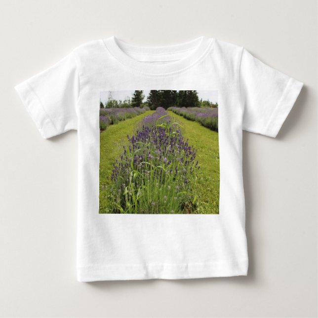 Camiseta Para Bebê Fazenda de Lavanda de Seafoam (Frente)