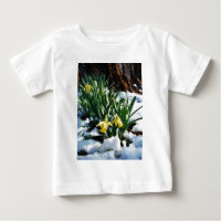 Flores amarelas Daffodils na neve