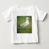 Foto ao quadrado - Seagull caminhando