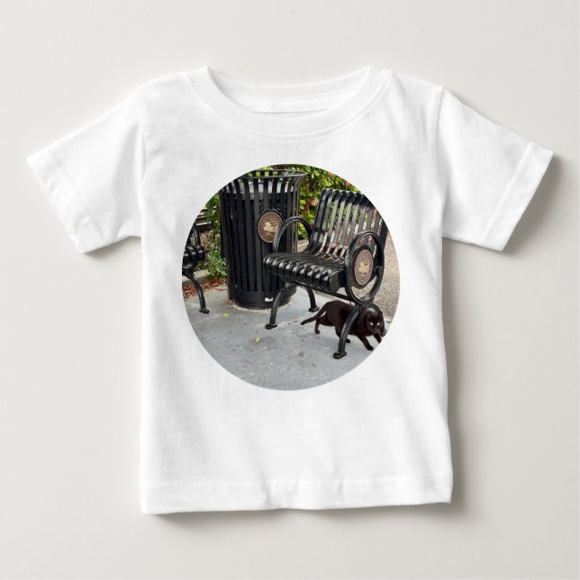 Camiseta Para Bebê Gatinho no Parque (Frente)