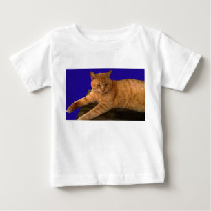 Camiseta Para Bebê Gato 8, Capa longa do garoto