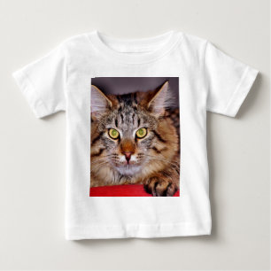 Camiseta Para Bebê Gato de Maine-Coone