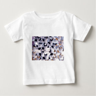Camiseta Para Bebê gatos assustadores