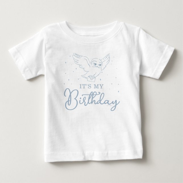 Camiseta Para Bebê Harry Potter Hedwig Azul Aniversário Mágico (Frente)