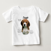 História Da Beagle; Tudo Sobre Beagles