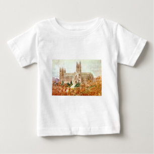 Camiseta Para Bebê Igreja Catedral de São Pedro e São Paulo