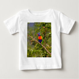 Camiseta Para Bebê Loriqueet arco-íris