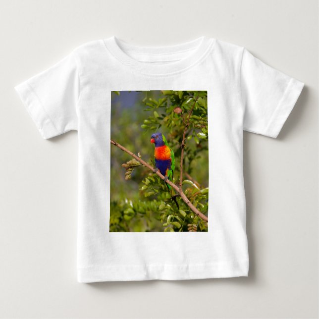 Camiseta Para Bebê Loriqueet arco-íris (Frente)