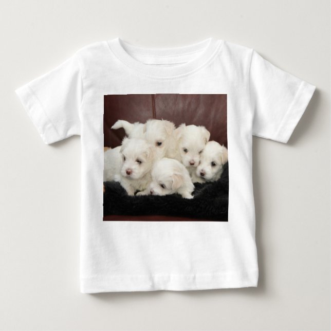 Camiseta Para Bebê Malteses - Cinco deles em T-shirts (Frente)