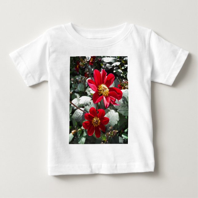 Camiseta Para Bebê margarida rosa-vermelha / flores das margaridas (Frente)
