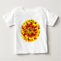 Marigold Flower