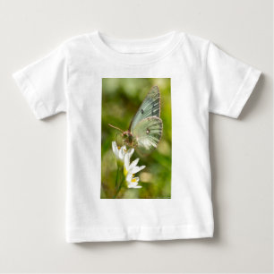 Camiseta Para Bebê Mariposa Verde em Falsa Alho Roupas e Presentes