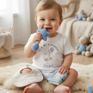 Camiseta Para Bebê Menino Balão Ganso Azul Primeiro Aniversário Crian