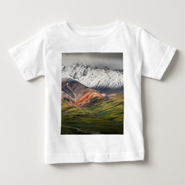 Camiseta Para Bebê Montanha policromática, Denali NP, Alasca (Frente)