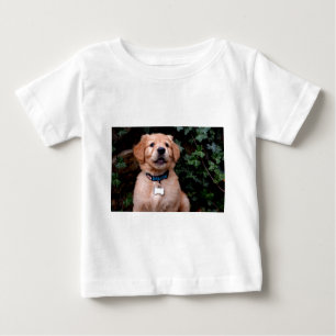Camiseta Para Bebê Ouro Retriever Puppy