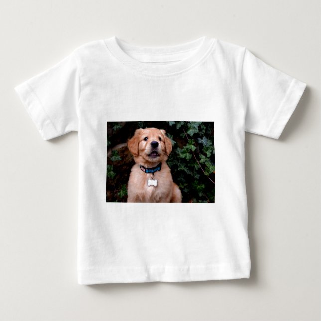 Camiseta Para Bebê Ouro Retriever Puppy (Frente)