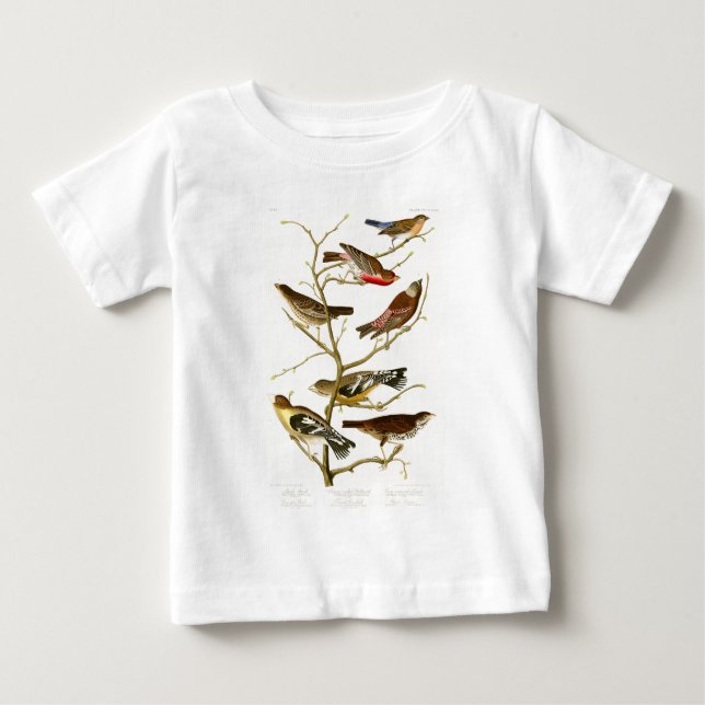 Camiseta Para Bebê Pássaros de John James Audubon do passarinho do (Frente)