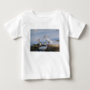 Camiseta Para Bebê Pássaros Ibis na margem da baía da Flórida