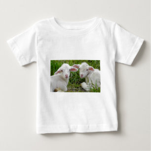Camiseta Para Bebê Pensamento animal do bebê gêmeo do cordeiro de