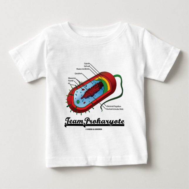 Camiseta Para Bebê Prokaryote da equipe (bactérias) (Frente)