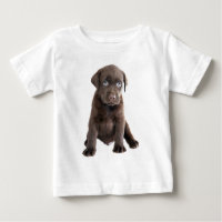 Puppia de chocolate