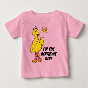 Camiseta Para Bebê Rua Sésamo   Aniversário do Big Bird e do Little B