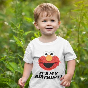 Camiseta Para Bebê Rua Sésamo Elmo É Meu Aniversário