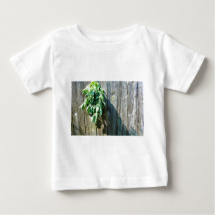 Camiseta Para Bebê Sage Barn-wood, recortada recentemente