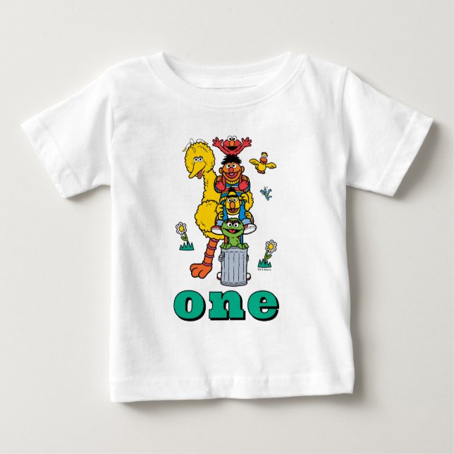 Camiseta Para Bebê Sesame Street Characters First Birthday Baby T-Shi (Frente)