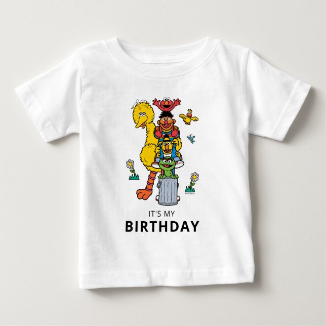 Camiseta Para Bebê Sesame Street Characters & Street Sign Birthday Ba (Frente)