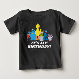 Camiseta Para Bebê Sésamo Street Pals | É o meu aniversário