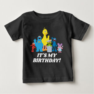 Camiseta Para Bebê Sésamo Street Pals É o meu aniversário