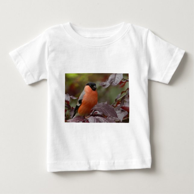 Camiseta Para Bebê Tentilhão-roxo (Frente)