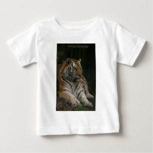Camiseta Para Bebê Tiger Baby Bodydress