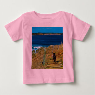 Camiseta Para Bebê Ursinho De Roubos De Cachorro Pingado Chinês,