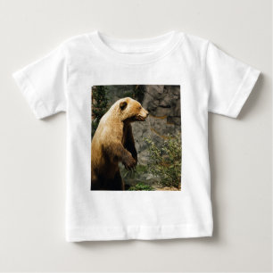 Camiseta Para Bebê Urso Ordenado