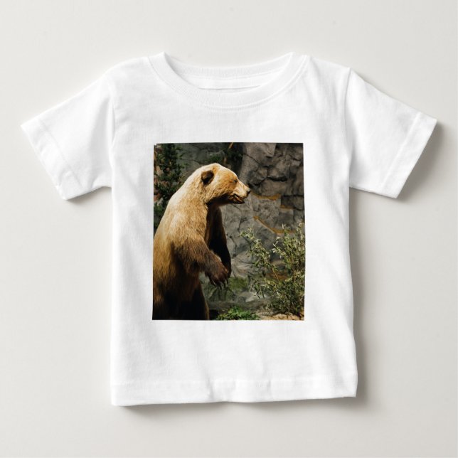 Camiseta Para Bebê Urso Ordenado (Frente)